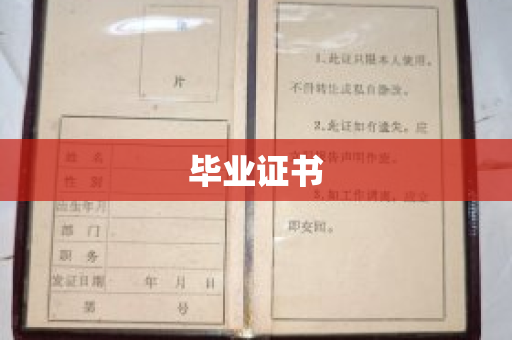 毕业证书