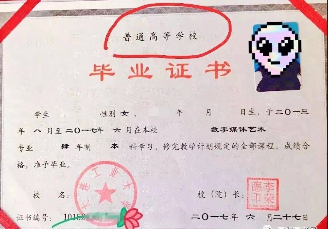 中专证书编号查询系统
