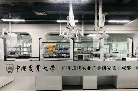 中国农业大学毕业条件