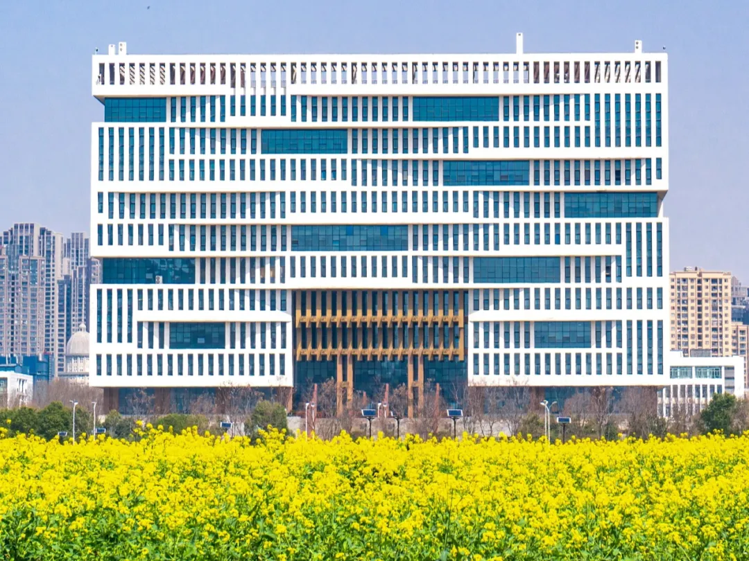 武汉理工大学分数线