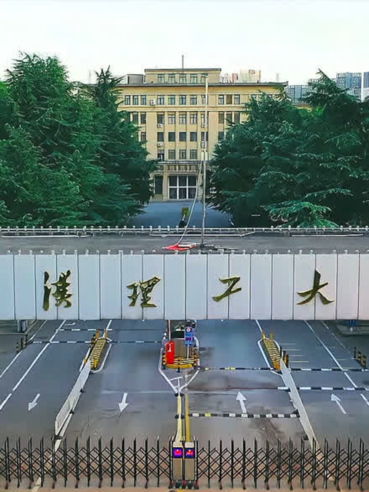 武汉理工大学分数线