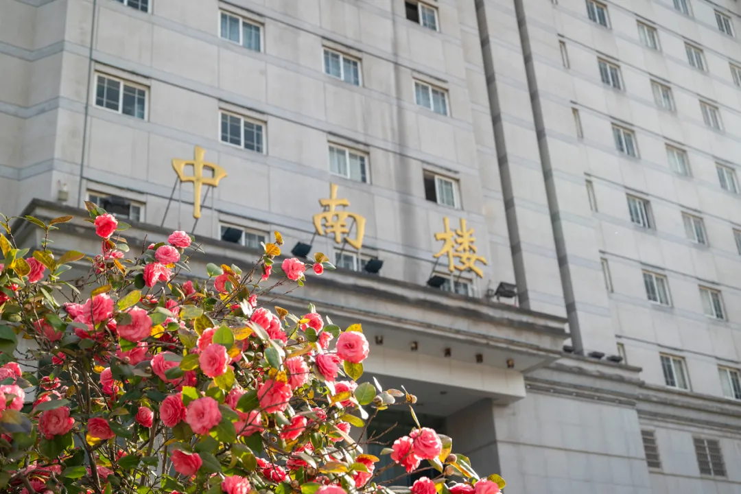 中南财经政法大学教务部