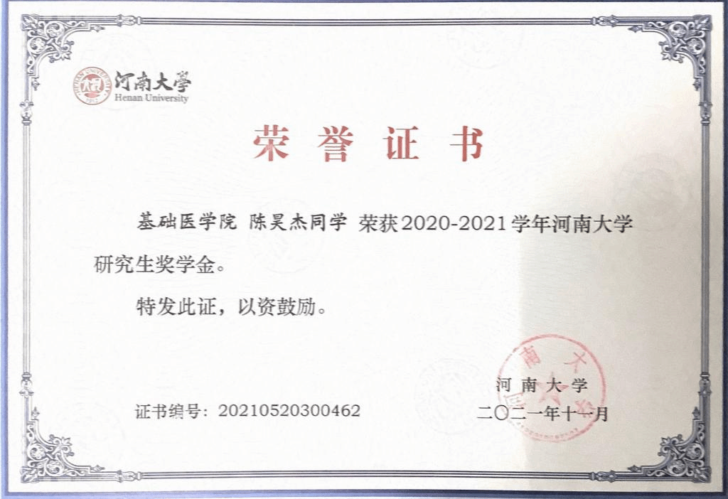 荣誉证书模板