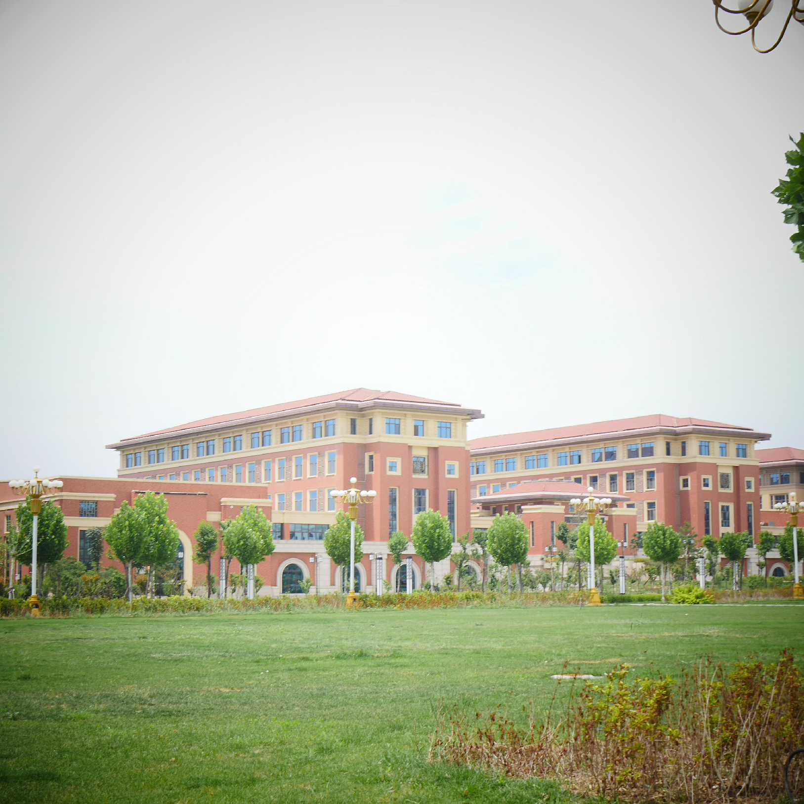 太原理工大学毕业证学位证领取要求