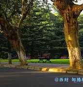 西南财经大学文凭好考吗