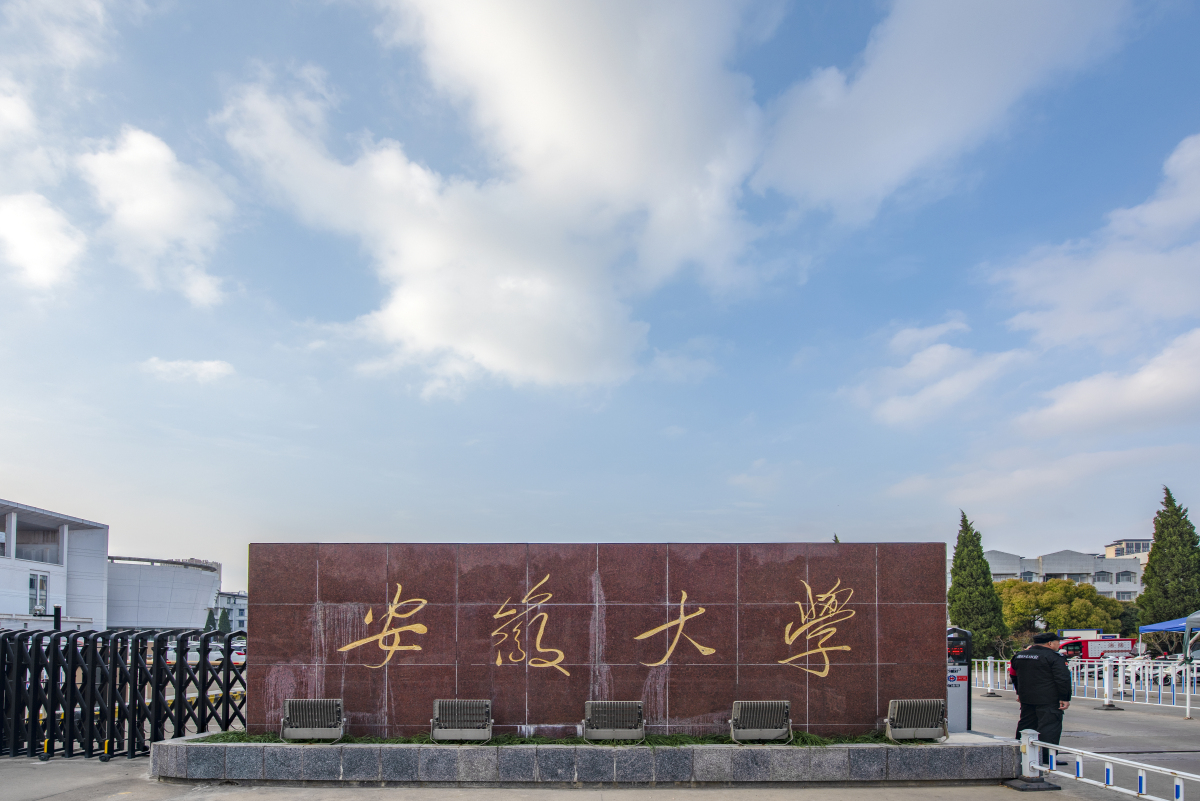 安徽大学有哪些